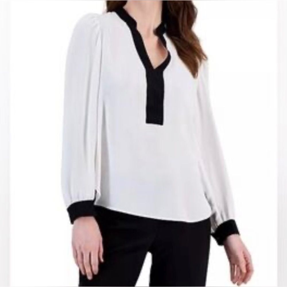 WD.NY women’s sheer contrast, design, pull over blouse, 1X